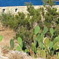 Rethymnon-Kreta