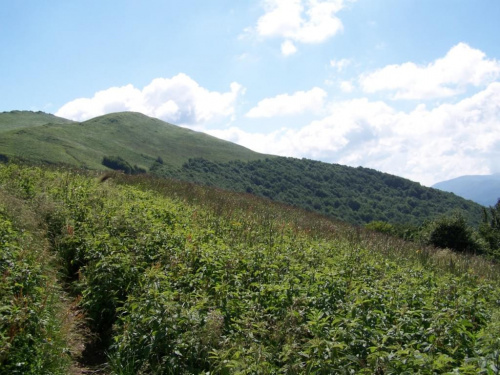 #bieszczady