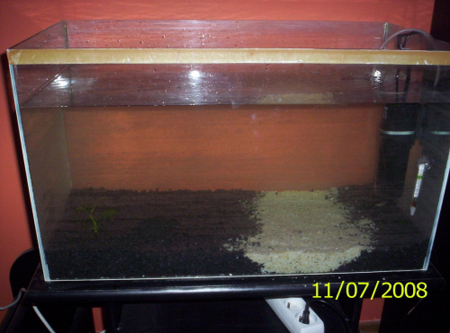 Woda i jedna roślinka :)