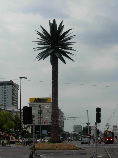 Sztuczna palma na rondzie de Gauille'a :D #Warszawa