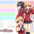 Fortune Arterial