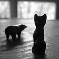 ksztalty #kot #świnia #figurka #cień #okno