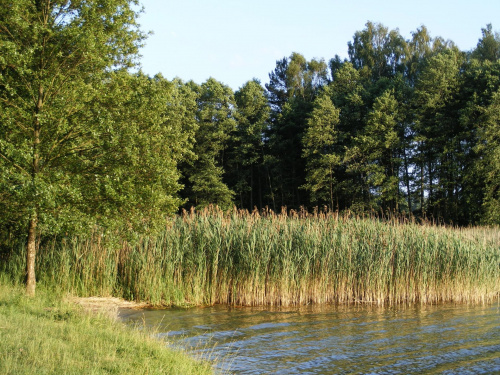 Jezioro Piłakno i jego okolice