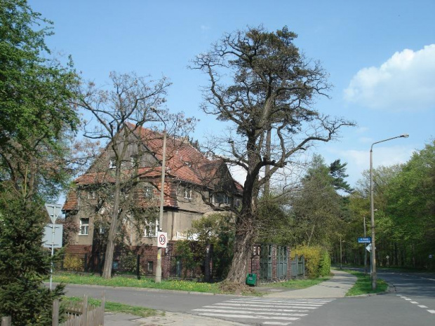 Wrocław Park Szczytnicki