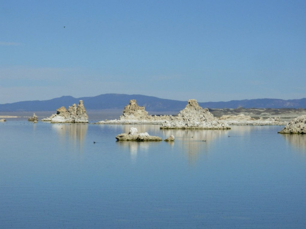 Słone jezioro Mono Lake znajduje się w kalifornijskich górach Eastern Sierra, w oazie na obszarze pustyni; poziom jego wód znajduje się na wysokości 1978 m n. p. m. Jezioro to jest środowiskiem życia dla milionów wędrownych oraz gniazdujących tutaj pta...