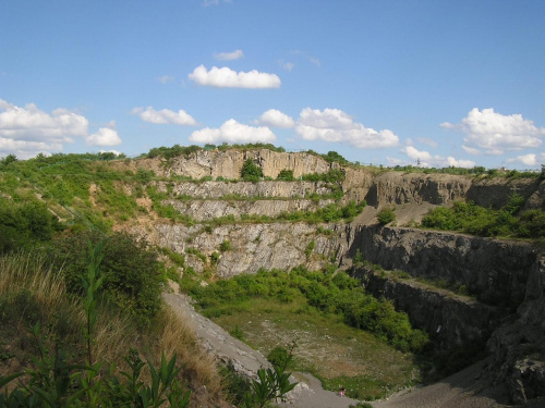 Rezerwat skalny "Ślichowice" im. Jana Czarnockiego, Kielce #skały #skała #rezerwat #przyroda #zieleń