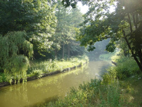 park pałacowy w Pszczynie