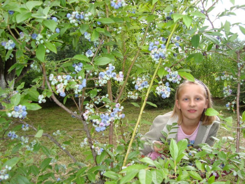 Działka 23.07.2008