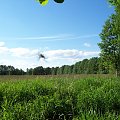 Terenu nad Śląską Ochlą