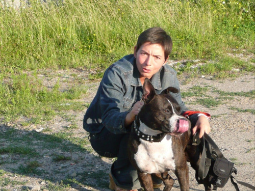 Tora wspomina Royal Canina