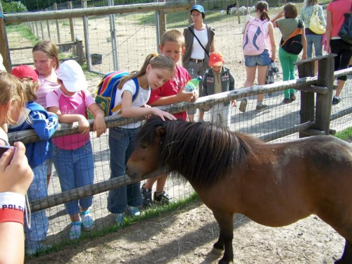 Bałtów 6.08.2008