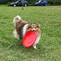 Jakieś dużawe to frisbee