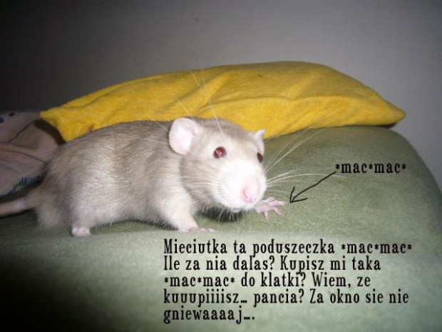 Magnesowe =)