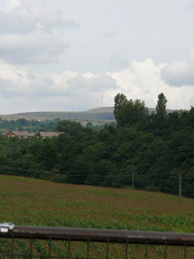 #burrs #CountryPark