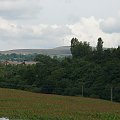 #burrs #CountryPark