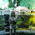 06.08.2008