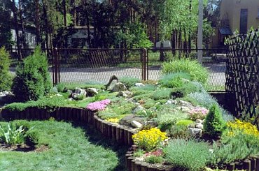 skalniak #SKALNIAK #MÓJOGRÓD #pomysly #wapienie #RoslinyAlpejskie