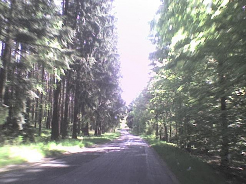 droga do Bukowa- lubuskie