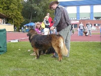 #leonberger #AptekaNatury