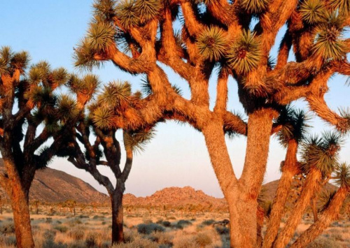 california,arizona,
national park #california #arizona #SanFrancisco #cliffs