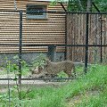 Nasze wszystkie dzieci i wnuki w łódzkim zoo