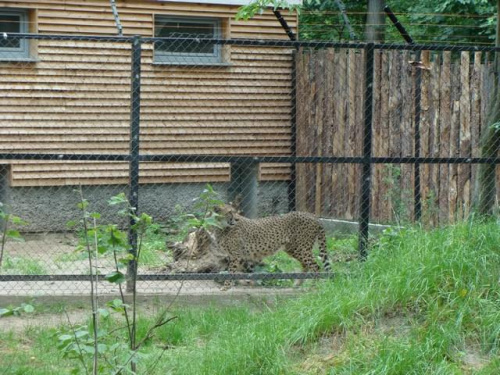 Nasze wszystkie dzieci i wnuki w łódzkim zoo