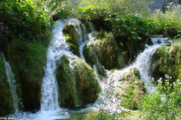 PLITVICE #PARKI #WODOSPADY #JEZIORA #CHORWACJA