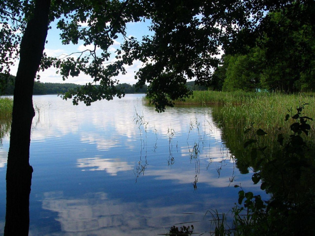 Mazury ,Królewska Sosna,jez.Pilakno #Mazury #Krajobrazy #Natura #Jeziora #Widoki