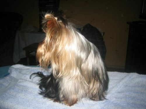 8 października 2008