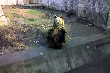 #OneLove #Wrocław #HalaLudowa