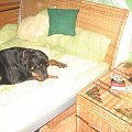 10-12,10.2008 nie wiadomo, kto kogo trenuje :))