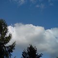 aa