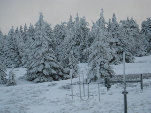 Zima na Śnieżniku