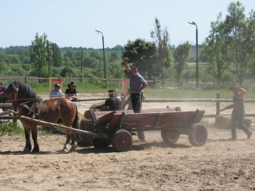 koniec konkurencji