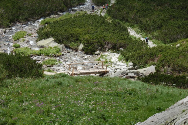 Tatry szlak na Rysy