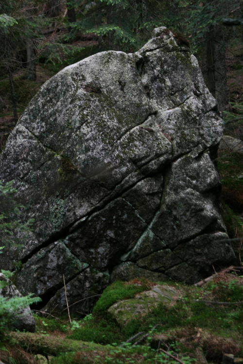 GIEWONT - KASPROWY