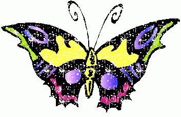 zabawny kolorowy motylek #gify
