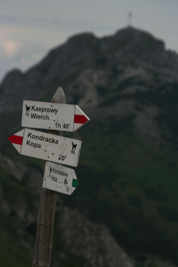 GIEWONT - KASPROWY