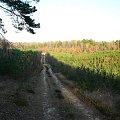 Droga na górze igliczej