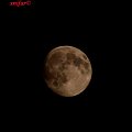 moon, księżyc, 11 list.2008 #moon #księżyc #XnifarRafinski