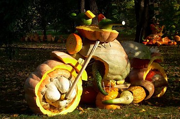 motorek :)) dzieło wrocławskiego ogrodu botanicznego przed dniem dyni :)) #dynia #artystyczne #motorek #ogród #OgródBotaniczny #wrocław