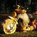 motorek :)) dzieło wrocławskiego ogrodu botanicznego przed dniem dyni :)) #dynia #artystyczne #motorek #ogród #OgródBotaniczny #wrocław