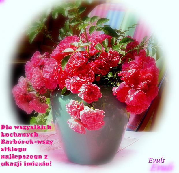 Życzenia dla Barbórek #Życzenia #Barbórka #bukiety #kwiaty #róże #bukiet #grudzień