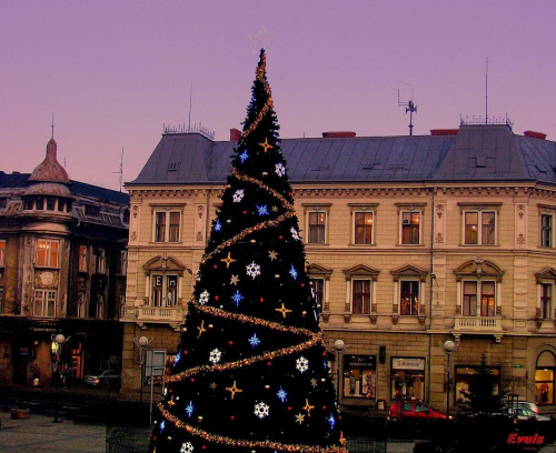 Święta 2008 Bielsko-Biała #Święta #choinka
