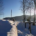 Trasa na Tarnicę #góry #Bieszczady #zima #śnieg
