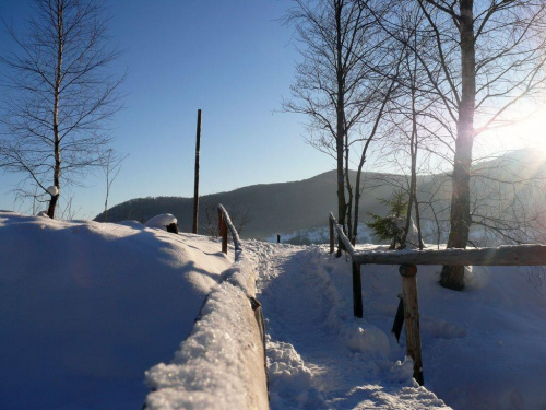Trasa na Tarnicę #góry #Bieszczady #zima #śnieg