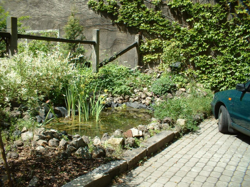 Ogród 2006