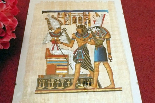 Papirus w promieniach RA.
