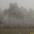 Zima 2006 #Śnieg #Zima
