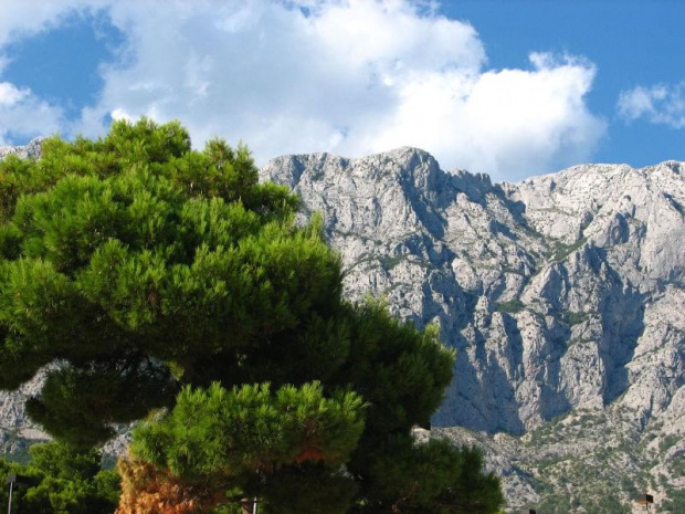 Makarska